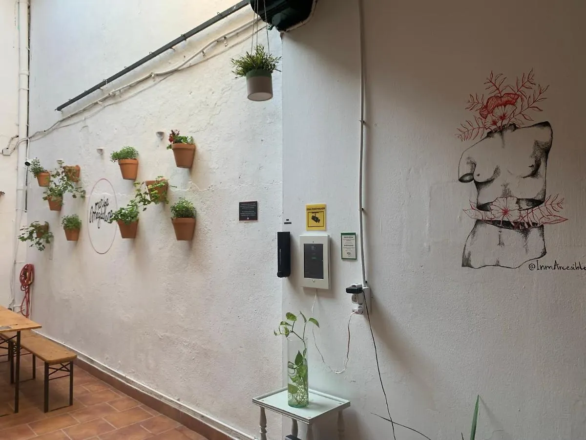 Guest house Maria Magdalena - Room 4 Malaga Spain